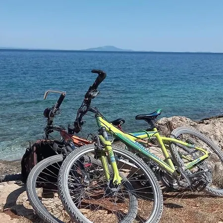 Semesterbostad Annamaria *