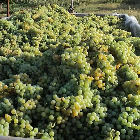 בית נופש Annamaria *