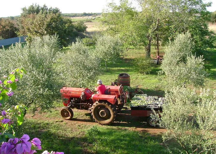 Annamaria Πούλα